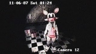 THESE FNAF VHS TAPES WILL MAKE YOU TERRIFIED [upl. by Annahvas901]