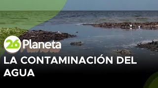 Playas contaminadas en México [upl. by Xirdnek]