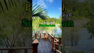 Beautiful morning view from Banabash Eco Village Sundarban  বনবাস রিসোর্ট bangladesh shorts [upl. by Fiora]