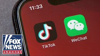 ‘Libs of Tik Tok’ creator speaks on Big Tech punishments [upl. by Giguere769]