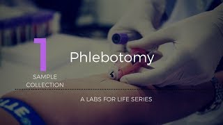 Phlebotomy [upl. by Ehcar104]