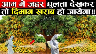 भारत में केमिकल वाले आम देखिये कैसे धड़ल्ले से बाजार में आ रहे  Mango  Artificial Ripening  India [upl. by Ilrebmik]