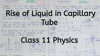 Rise of Liquid in Capillary Tube  Chapter 9  Mechanical Properties of Fluids  Class 11 Physics [upl. by Uphemia984]