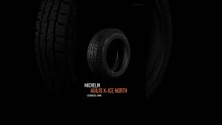 Зимові шини Michelin Agilis X Ice North шип зимовішини michelin [upl. by Eiba]