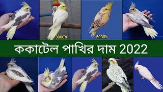 ককাটেল পাখির দাম 2022  Cockatiel Bird Price In Bangladesh And India  Cockatiel Pakhir Dam [upl. by Enillebyam]