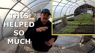 OUR SECRET TO THE BEST GERMINATION RATES [upl. by Tubb]