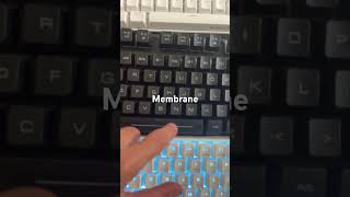 Mechanical vs Membrane vs Keyboard sound test [upl. by Haden]