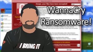 WannaCry Ransomware Explained How to Stay Safe [upl. by Jolda]