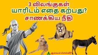 3 விலங்குகள்  யாரிடம் எதை கற்பது  சாணக்கிய நீதி  Chanakya Neeti Learning From Animals [upl. by Yettie]