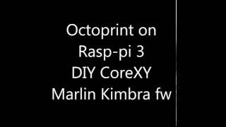 Octoprint on Raspberry pi 3  Core XY 3d printer [upl. by Allenaj765]