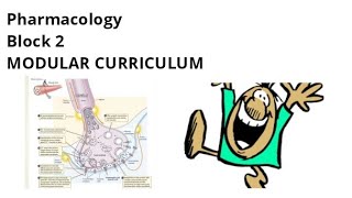 Pharmacology of Block 2  Part 1   MSK Module  All topics [upl. by Williams149]