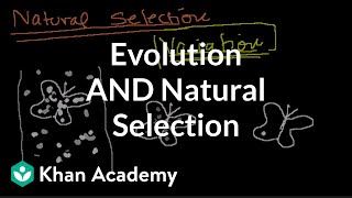 Introduction to Evolution and Natural Selection [upl. by Adnac]