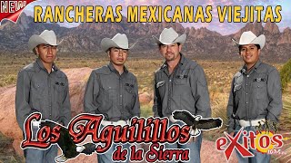 Los Aguilillos De La Sierra  Puros Exitos Rancheros Corridos Verdaderos  Corridos Chingones [upl. by Dnaltiac]