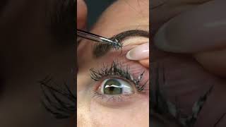 Removing Lashes  How to remove eyelashes extensions  Dirty Lashes  Not painful at all [upl. by Ciapha746]