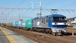 20131130 東海道本線 稲沢界隈の貨物列車たち [upl. by Wallack318]