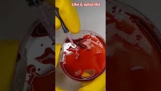 Experiment with Snake Venom shrots experiment poison science viralreels [upl. by Halimaj]