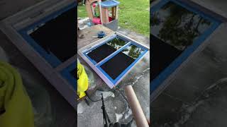 Windows Removed School Bus Tiny Home Build Shorts skoolie buslife vanlife busconversion diy [upl. by Tenney561]