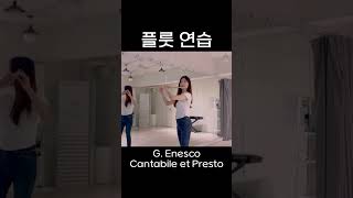 플룻 연습 중🪄G Enesco Cantabile et Presto flute music flute classicalmusic 플루트 플루트연주 연습 [upl. by Aihsetal10]