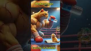 pertarungan kucing vs badak shortvideo [upl. by Anerol]