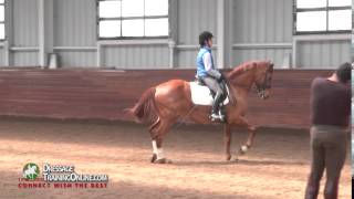 Teaching of Passage Piaffe and Pirouettes [upl. by Yenittirb]