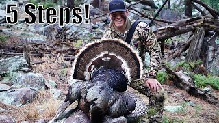 BLACK HILLS Merriam AT 5 STEPS  South Dakota Turkey Hunting [upl. by Eelyab]