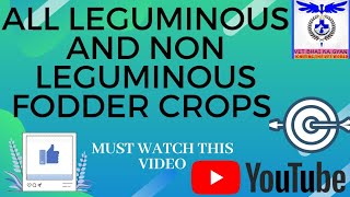 Important Leguminous and non Leguminous fodder crops [upl. by Martie]