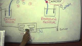 Capillary Electrophoresis [upl. by Kcirdahs550]