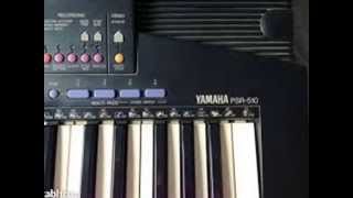 Jenka plesdance Instrumental Yamaha PSR510 Josip Bojagić [upl. by Leahcimaj]