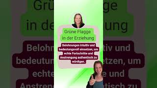 Rote Flaggen vs Grüne Flaggen Belohnungen in der Erziehung [upl. by Lilyan]