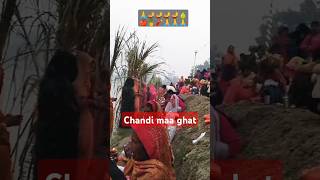 जल्दी पियारी पहिर ला Pawan Singh Shivani Singh chhath Puja song shortvideo chhathpuja 🍍🍎 [upl. by Tess57]