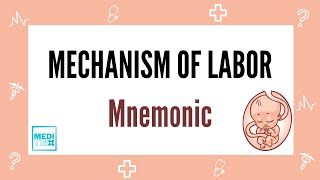 Mechanism of Labor  Delivery  Mnemonic  Obstetrics  Medi Trix [upl. by Dickinson]