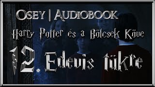 Harry Potter és a Bölcsek Köve hangoskönyv  12 fejezet [upl. by Leeth]