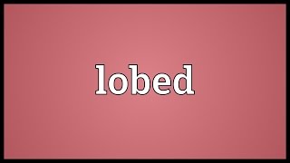 Lobed Meaning [upl. by Andrea]