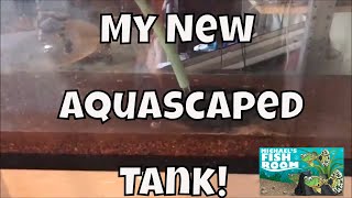 New Aquascaped Tank How to Clean Seachem Flourite Aquarium Fishroom VLOG [upl. by Nelyak]