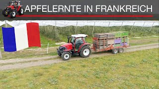 Apfelernte in Frankreich I Lintrac 100 [upl. by Gerdi]