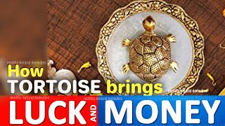 Bring good luck wealth by placing Tortoise  Right directions to place tortoise  Vastu Feng shui [upl. by Hannover]