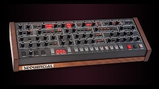 Sequential Prophet6 Module [upl. by Moe]