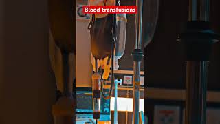 Blood transfusions emergency hospital like andsubscribepleaseshorts [upl. by Hilarius]