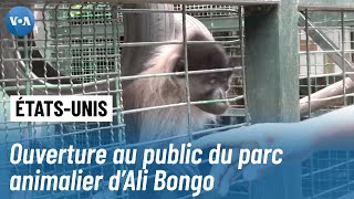 Gabon  le parc animalier d’Ali Bongo ouvert au public [upl. by Zenda]