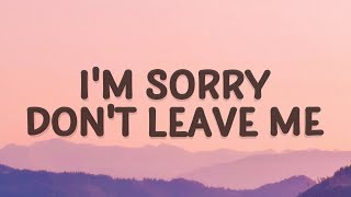 SLANDER  Im sorry dont leave me I want you here with me Lyrics  Love Is Gone [upl. by Maddocks]