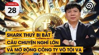 Shark Thuỷ bị bắt Câu chuyện nghĩ lớn và mở rộng công ty vô tội vạ  TỔ BUÔN 247 28032024 [upl. by Allets]