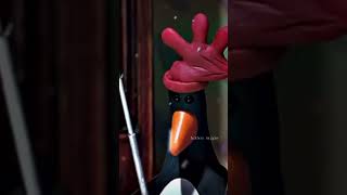 Never let go of me edit  Feathers McGraw edit feathers edit wallaceandgromit mcgraw [upl. by Ajuna]