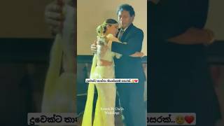 දුවෙක්ට තාත්තා කියන්නෙම සසරක්🥺❤️ bridegroom love wedding dance [upl. by Vaios]