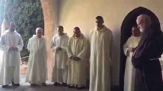 Carthusian Monks Chant for Cardinal O’Malley [upl. by Lavro]