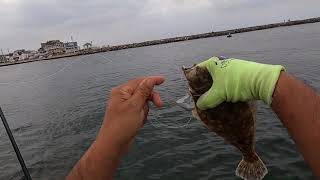 Fluke Fishing Manasquan Inlet Uncut Unedited [upl. by Aihsemek]