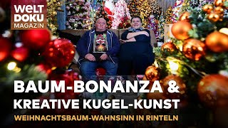 LICHTER LAMETTA amp LEIDENSCHAFT🎄Das leuchtende Weihnachtswunder von Rinteln  WELT MAGAZIN [upl. by Ayinat]