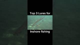 Top 3 Lures for Inshore Saltwater Fishing  fishing saltwaterfishing shorts [upl. by Yhotmit]