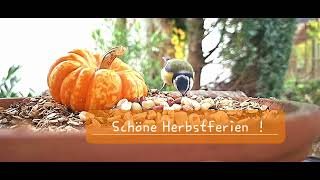 Schöne Herbstferien [upl. by Latreshia976]