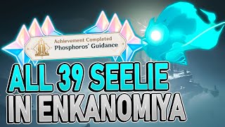 All 39 Seelie in ENKANOMIYA DETAILED  TIMESTAMPS  Genshin Impact 24 [upl. by Eedissac963]