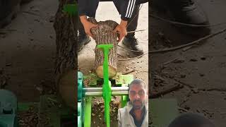 Wood choppingchoppingwood machine woodcut wood technology woodcuting shorts [upl. by Alludba26]